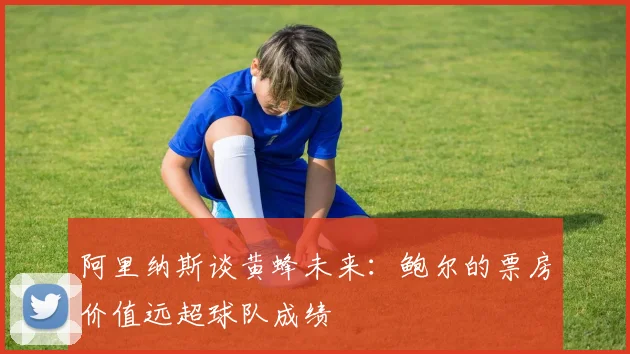 阿里纳斯谈黄蜂未来：鲍尔的票房价值远超球队成绩